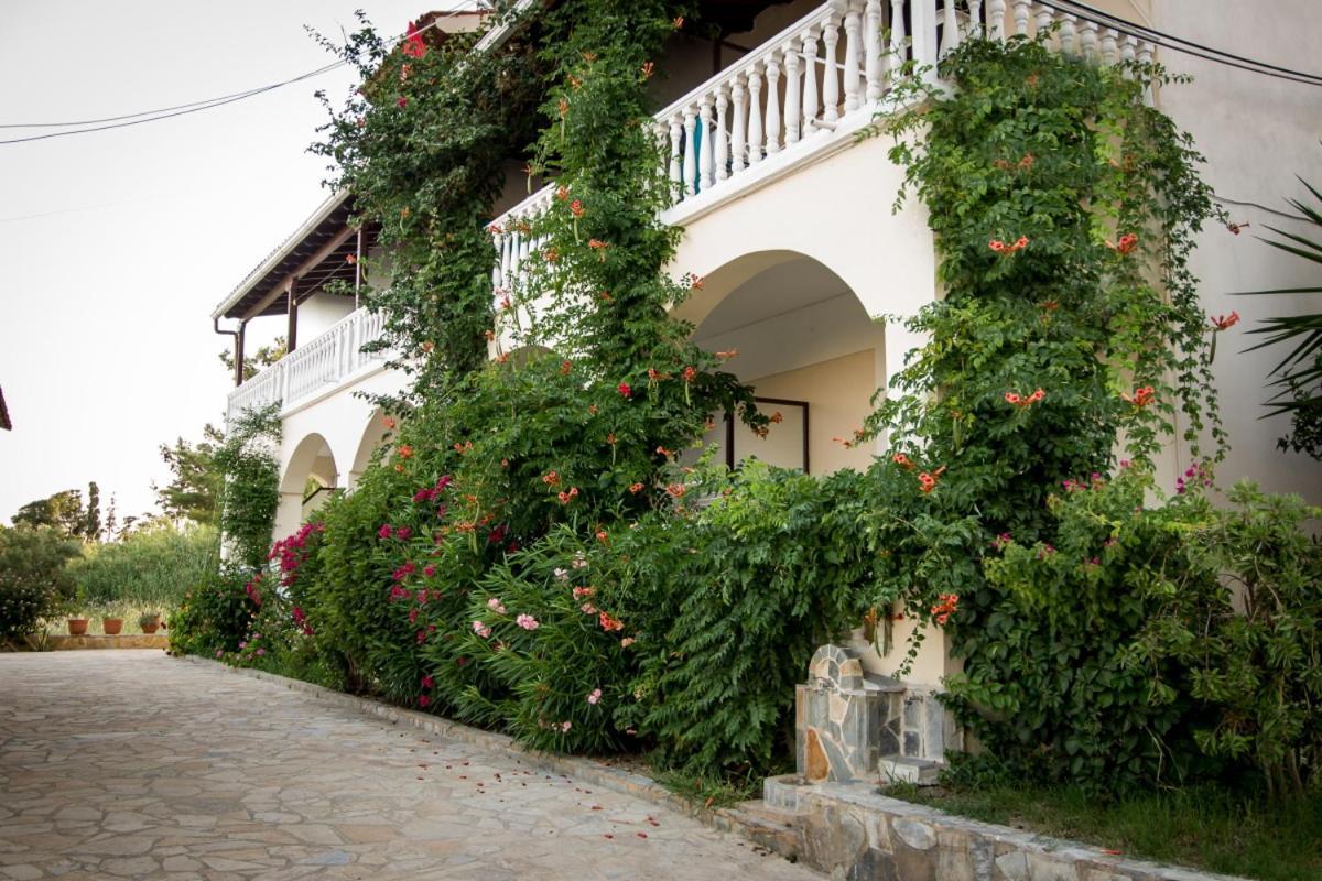 Leonidas Studios Laganas Exterior photo
